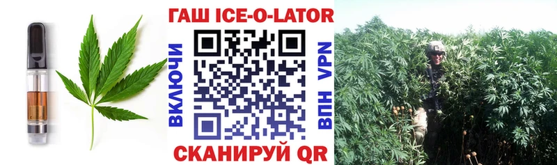 Купить закладки  Волхов  Cannafood конопля 
