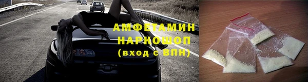 прущие грибы Алзамай