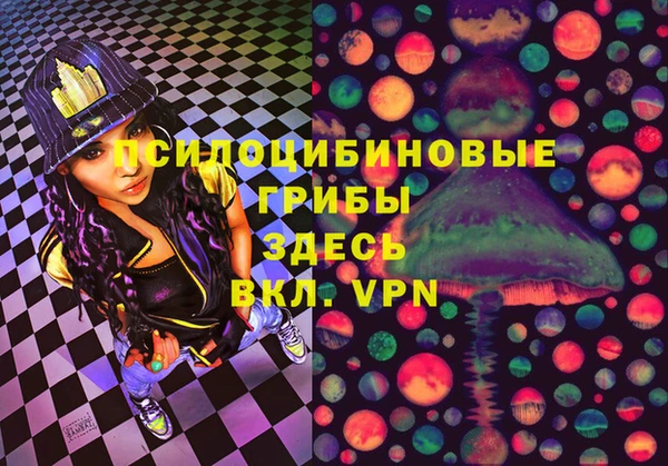 прущие грибы Алзамай