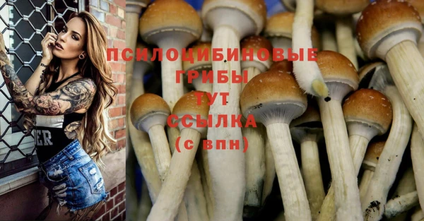меф Алексин