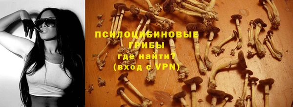 дживик Алексеевка
