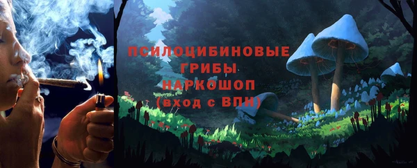 прущие грибы Алзамай