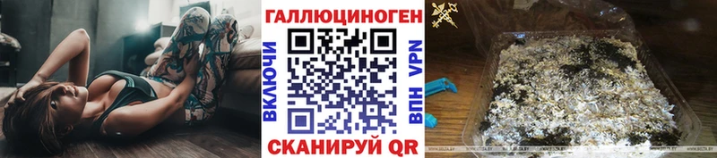 Купить  Волхов  Галлюциногенные грибы ЛСД 